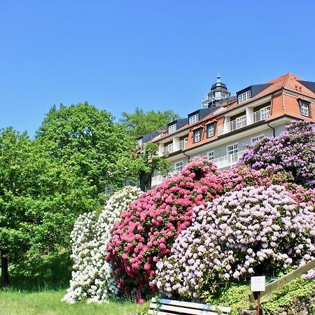 Ferienwohnung Natur Und Kunst ドレスデン エクステリア 写真