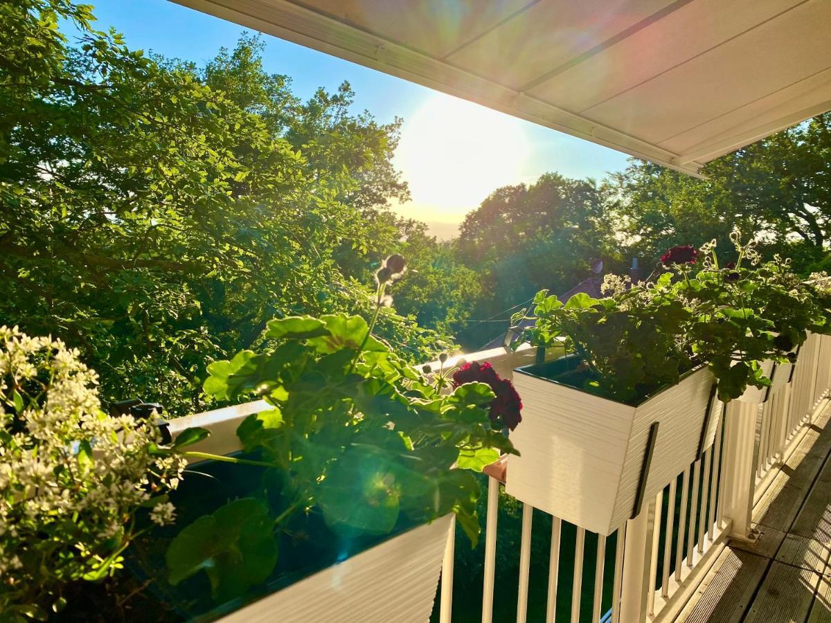 Ferienwohnung Natur Und Kunst ドレスデン エクステリア 写真