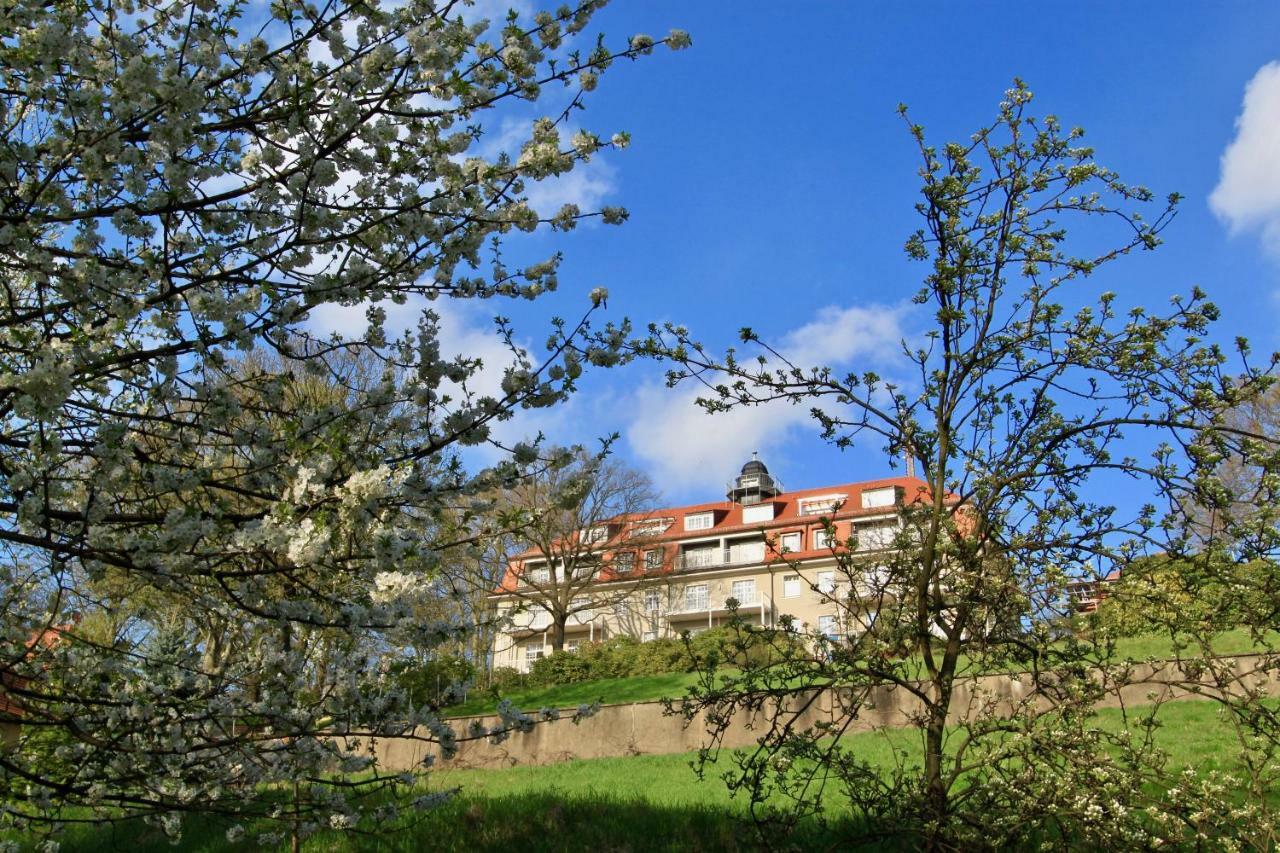 Ferienwohnung Natur Und Kunst ドレスデン エクステリア 写真