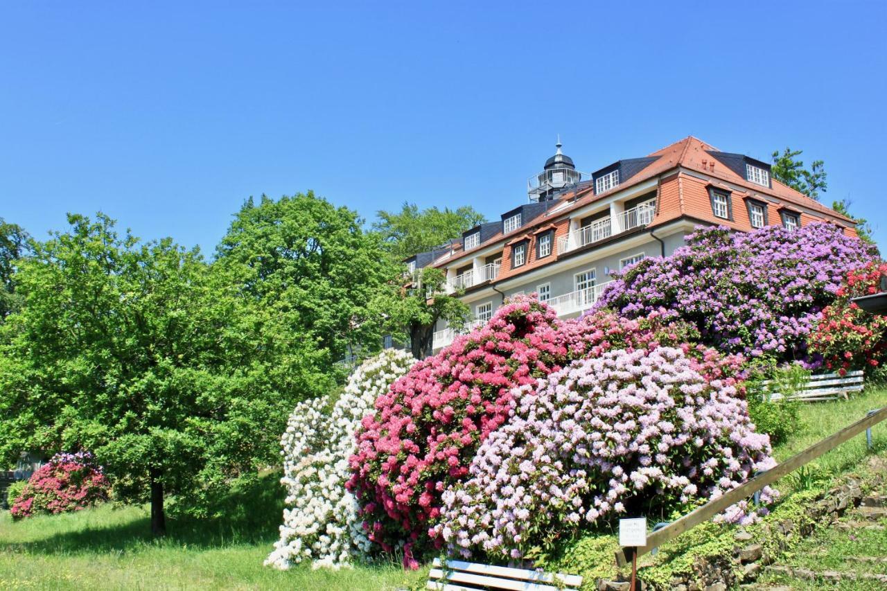 Ferienwohnung Natur Und Kunst ドレスデン エクステリア 写真