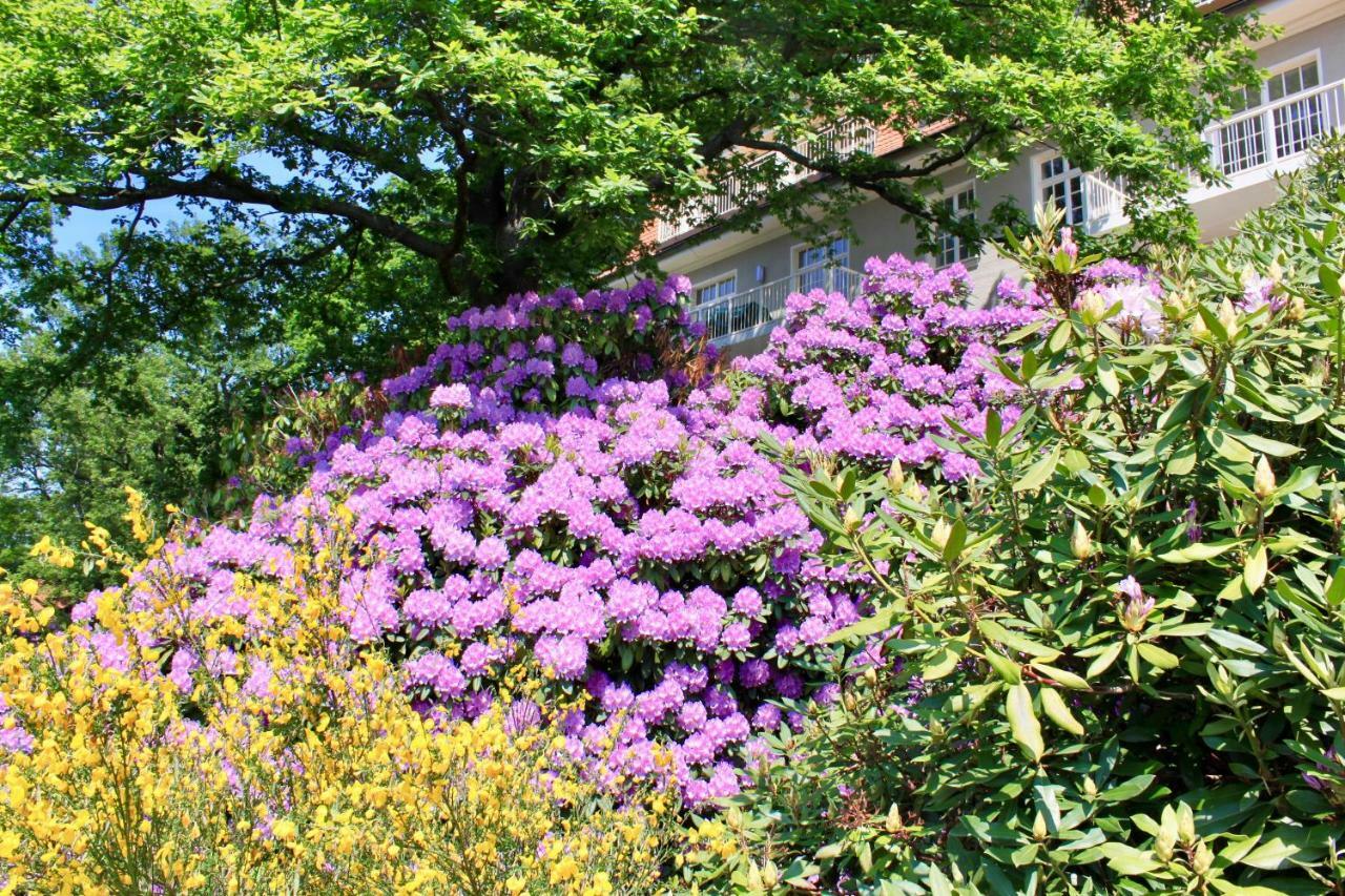 Ferienwohnung Natur Und Kunst ドレスデン エクステリア 写真