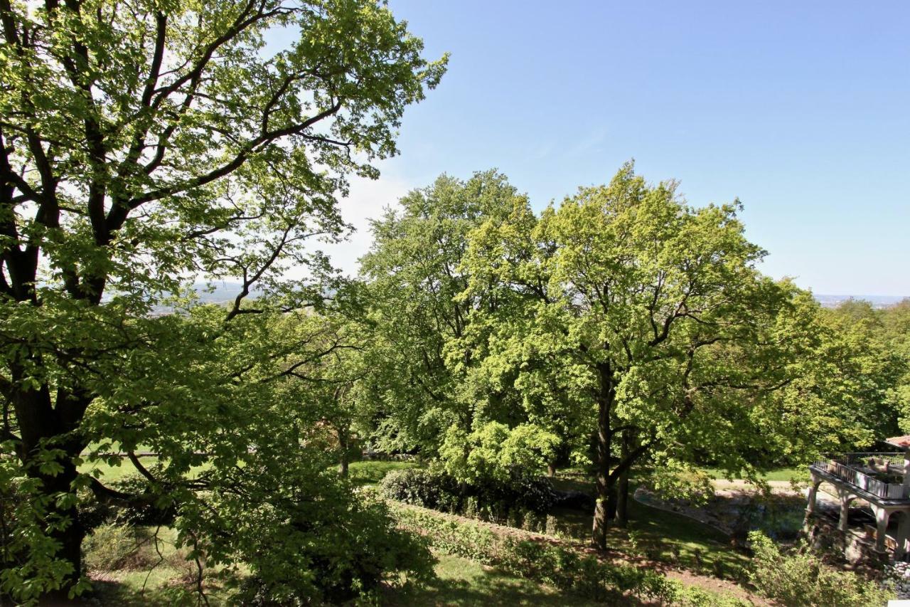 Ferienwohnung Natur Und Kunst ドレスデン エクステリア 写真