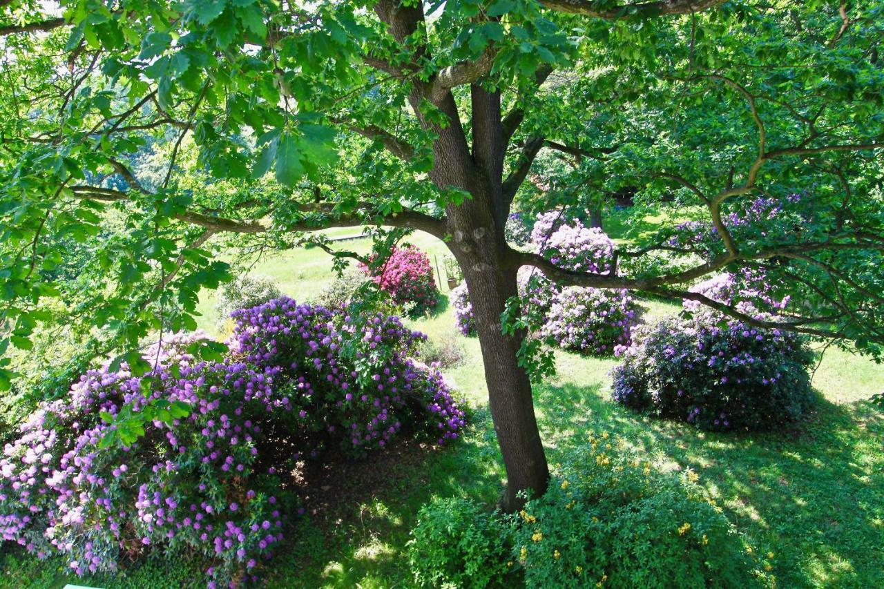 Ferienwohnung Natur Und Kunst ドレスデン エクステリア 写真