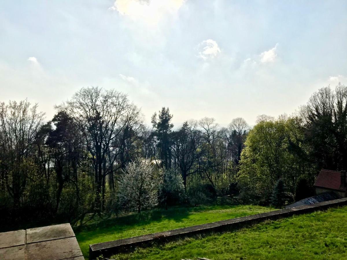 Ferienwohnung Natur Und Kunst ドレスデン エクステリア 写真