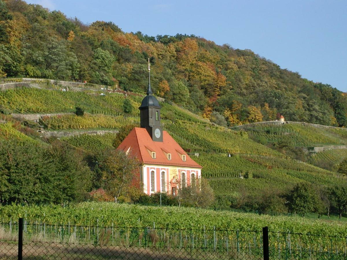 Ferienwohnung Natur Und Kunst ドレスデン エクステリア 写真